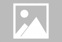 最新武器双刀爆料大全图,刀锋舞动，战力升级